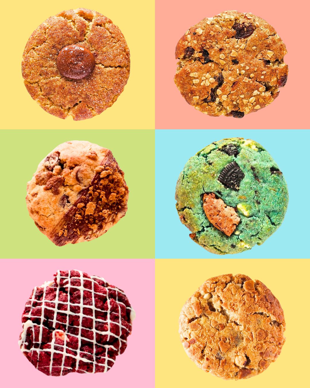 heerlijke vegan koeken in 6 verschillende smaken. Crunchy Churros, Hippe Haver, Speculoos Speciaal, Cookie Monster, Red Velvet, Bueno Baas.